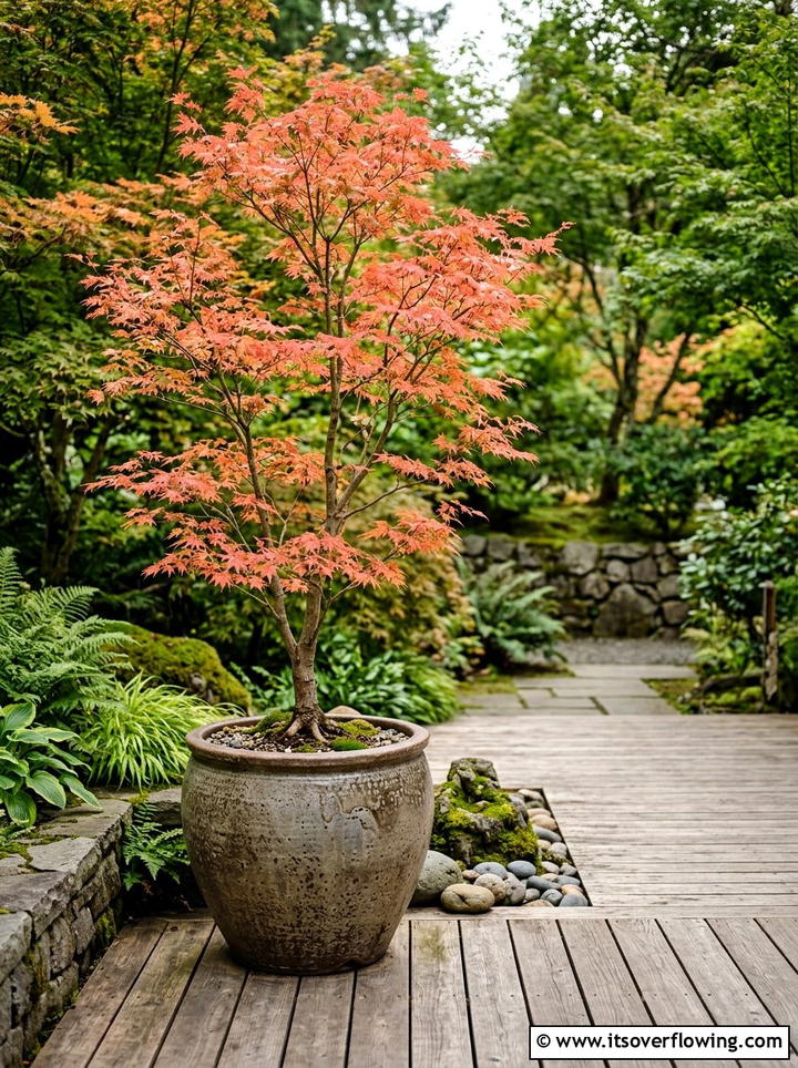 Large Container Plant - 25 garden design ideas for decks