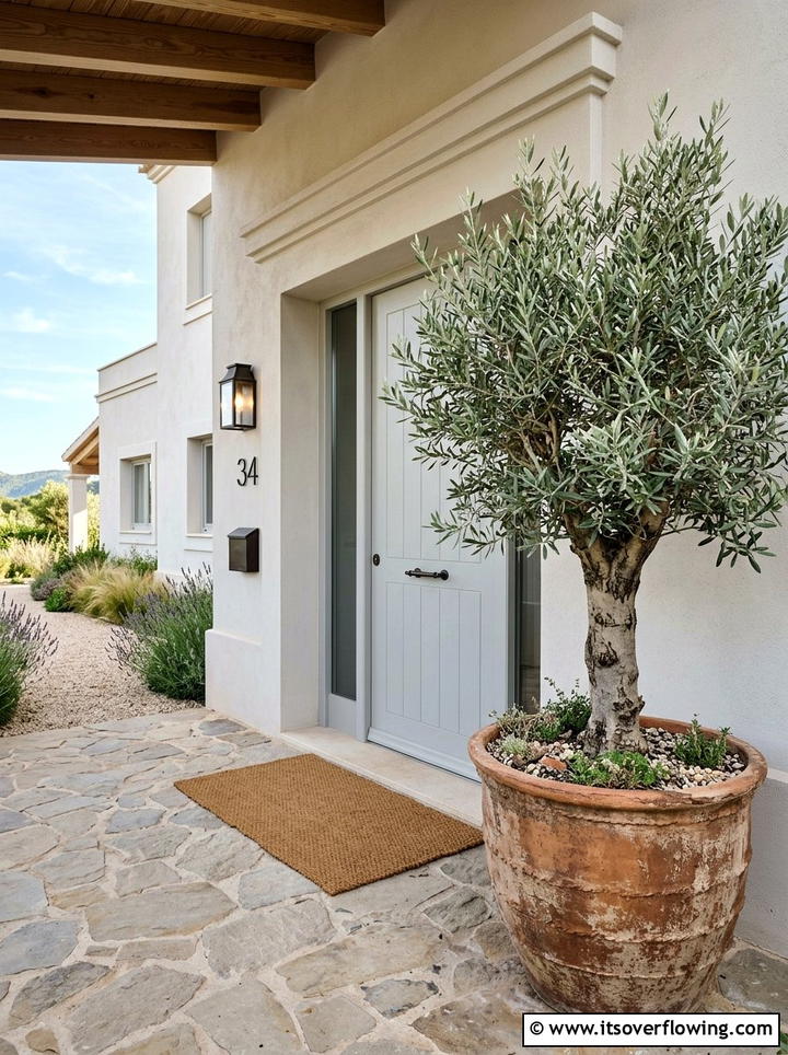 Large Olive Tree In Ceramic Pot - 25 front porch decor ideas with asymmetrical layout