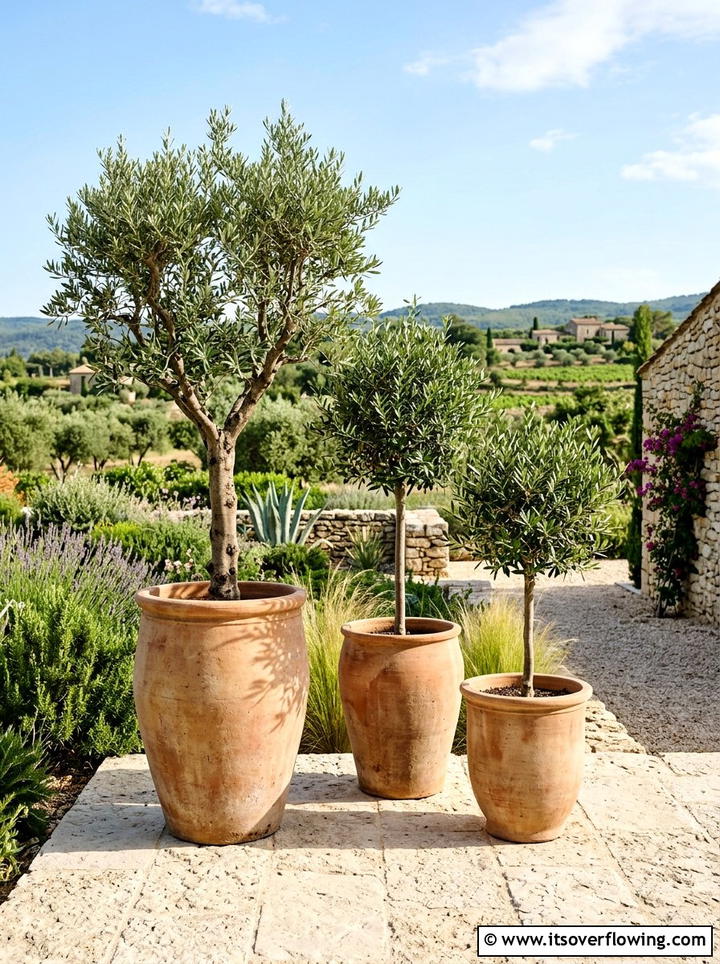 Large Terra Cotta Pots - 25 garden decor ideas with minimalist accents