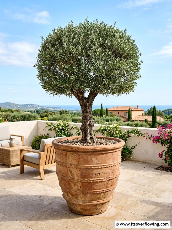 Large Terracotta Tree Container - 25 garden decor ideas with terracotta pots