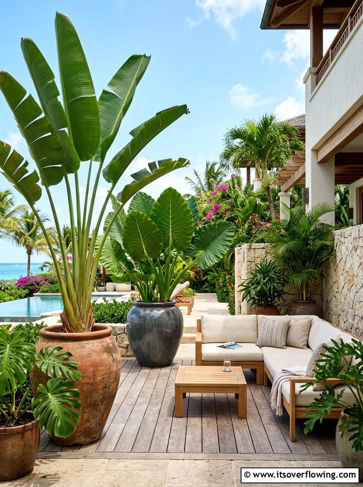Large leaf plants for patio - 25 garden design ideas with tropical foliage