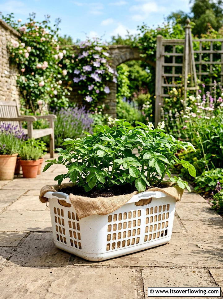 Laundry basket planter - 25 recycled garden ideas for teachers