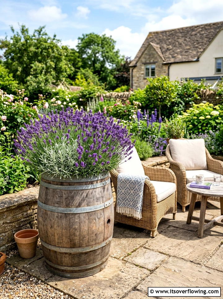 Lavender Barrel Planter - 25 backyard ideas with barrel planter
