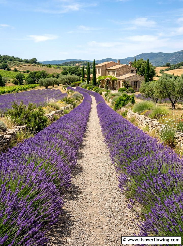 Lavender Garden Walkway Border - 25 creative garden ideas with cottage layering