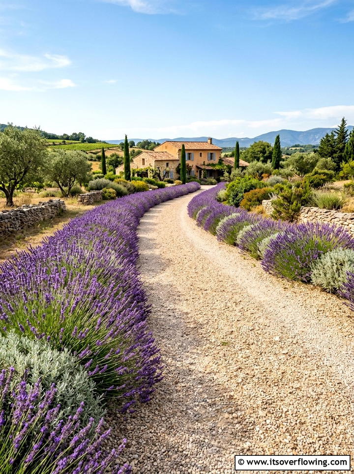 Lavender border - 25 cheap garden ideas with drought tolerant plants