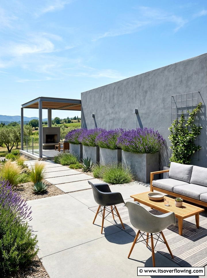 Lavender modern landscape - 25 garden ideas with lavender