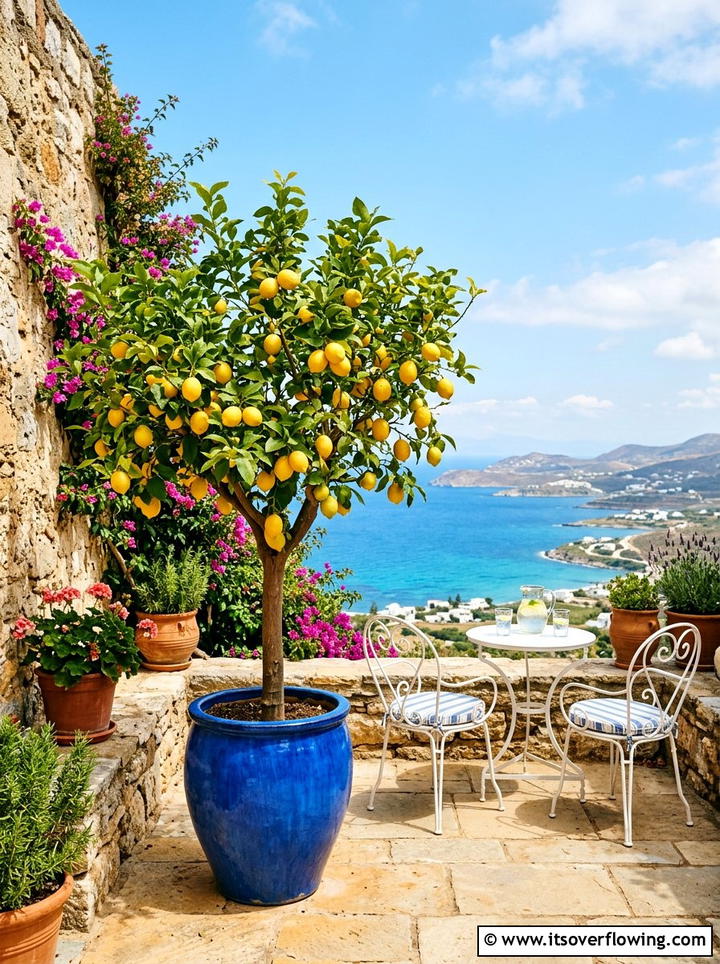 Lemon Tree Terrace - 25 backyard decorating ideas with potted trees