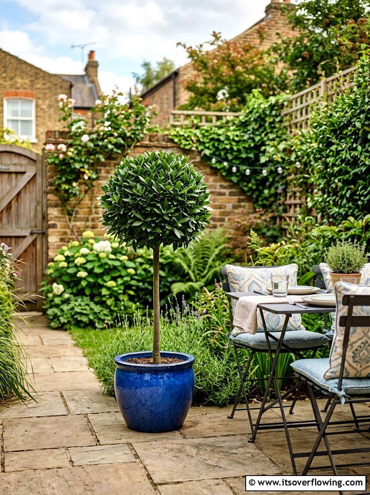Lollipop Tree On Paved Patio - 25 garden decor ideas with topiary