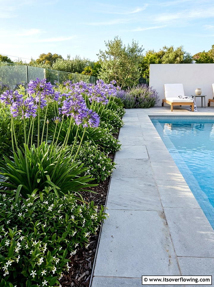 Low maintenance poolside plants - 25 garden design ideas for pool areas
