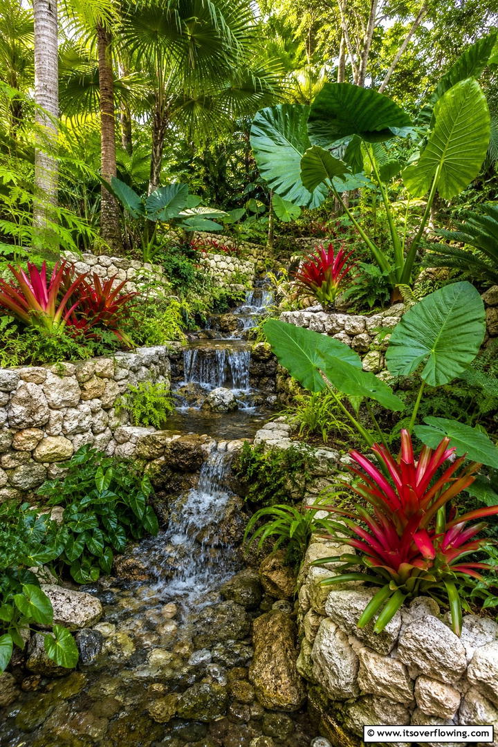Lush Tropical Tiered Garden - 30 Tiered Garden Ideas for Sloped Yards and Visual Interest