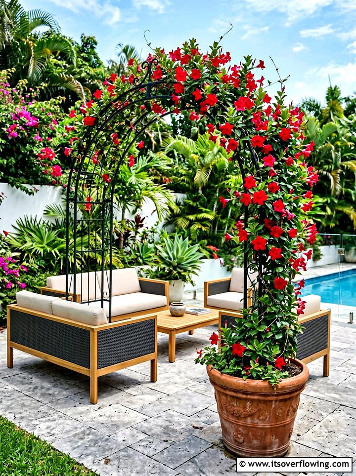 Mandevilla Patio Arch - 25 creative garden ideas with archway flowers