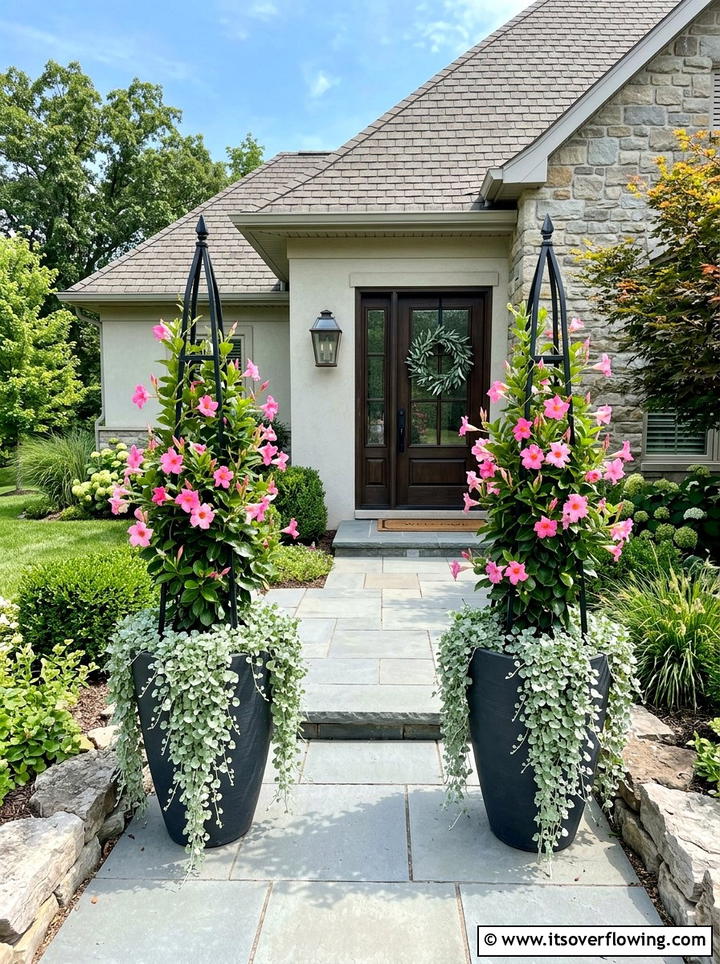Mandevilla Potted Entrance - 25 front porch ideas with trellis vines