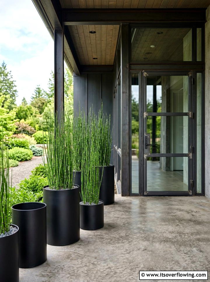 Metal cylinder planters - 25 front porch ideas with tall planters