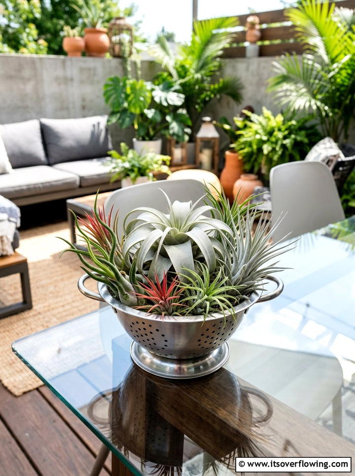Mini colander air plant holder - 25 recycled garden ideas with old colanders