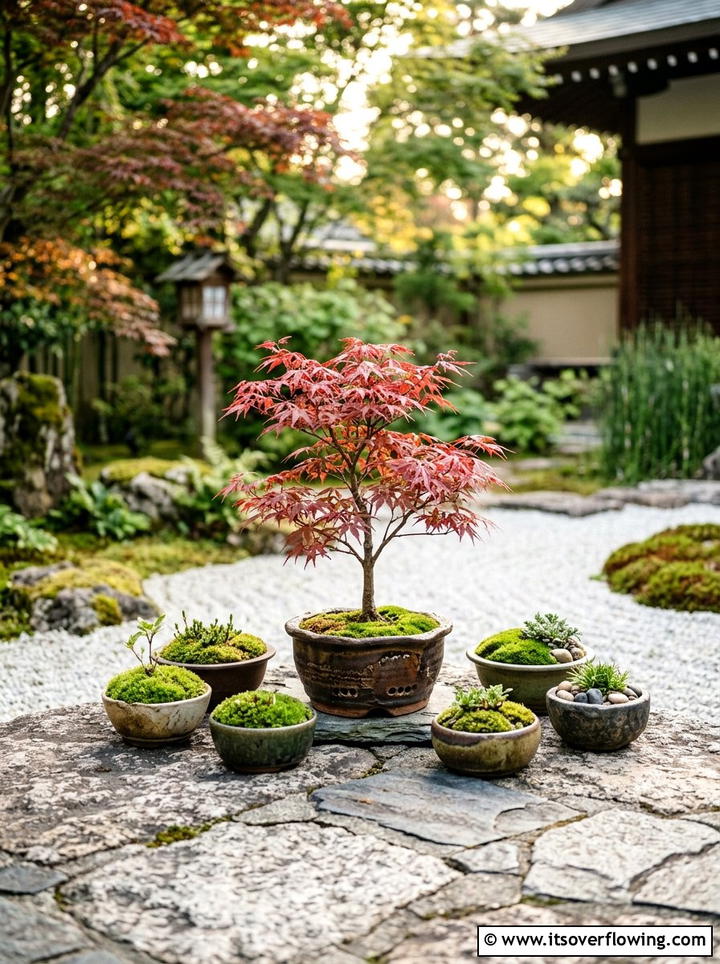 Miniature Tree Pot Display - 25 small garden ideas with container clusters