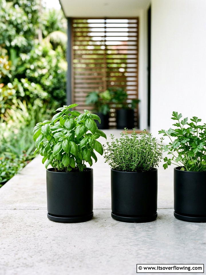 Minimalist black herb pot - 25 front porch ideas with herb planters
