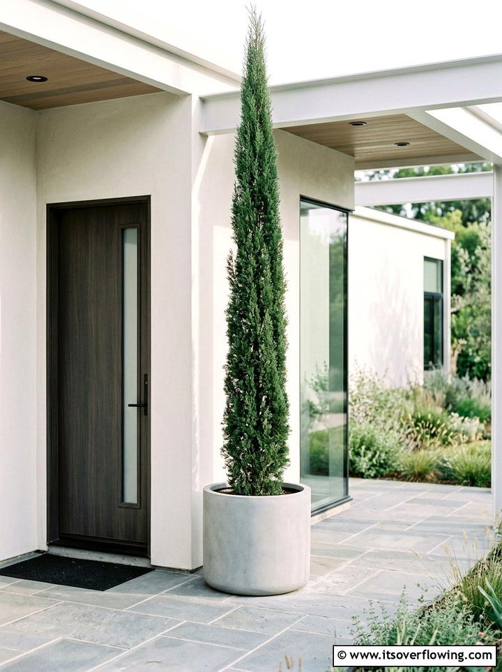 Minimalist porch layout with cypress - 25 front porch decor ideas with mini trees
