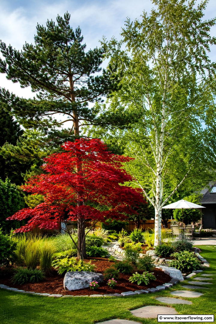 Mixed Species Harmony - 30 Tree Landscaping Ideas for Shade, Privacy, and Curb Appeal