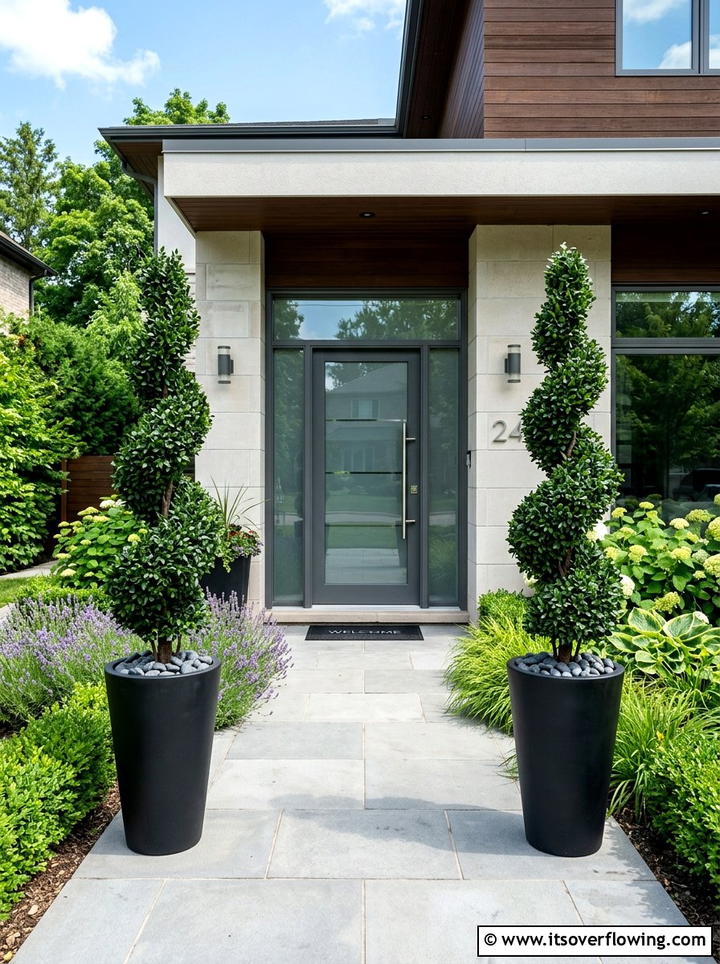 Modern Black Front Door - 25 front porch decor ideas with low maintenance setup