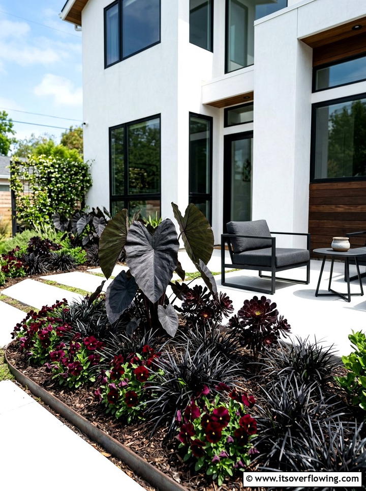 Modern Black Plant Garden - 25 garden design ideas with monochrome plants