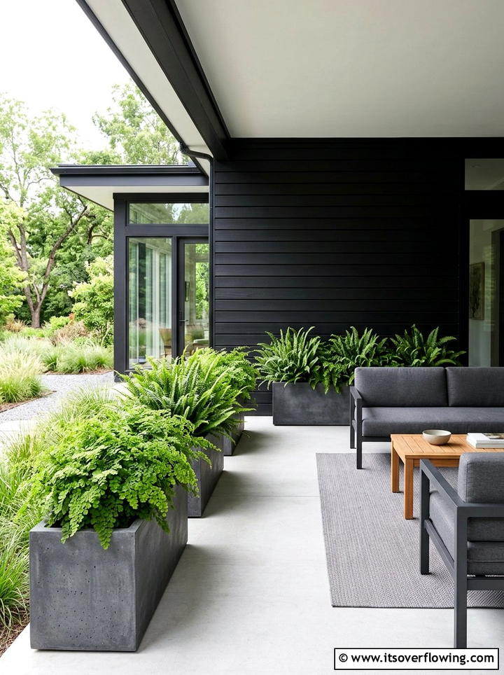 Modern Porch Ferns - 25 front porch ideas with ferns