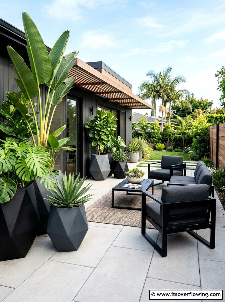 Modern Tropical Patio - 25 backyard ideas with tropical plants
