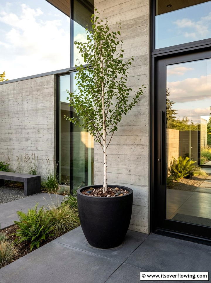 Modern black planter with tree - 25 front porch decor ideas with mini trees