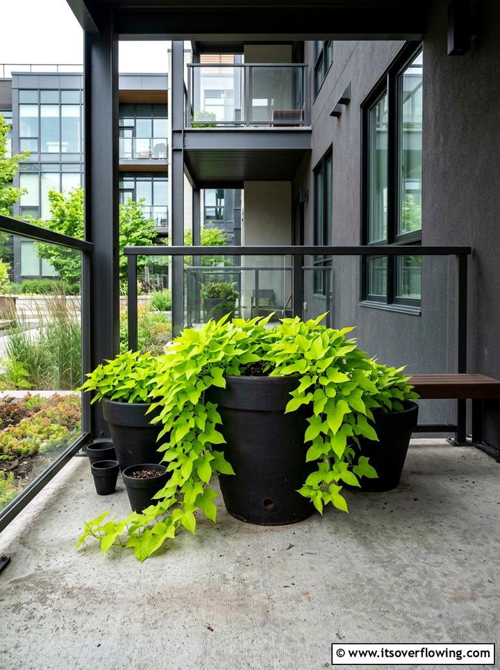 Modern black terracotta pots - 25 front porch ideas with terracotta pots
