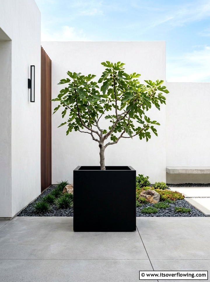 Modern fruit tree landscaping - 25 garden ideas with fruit trees