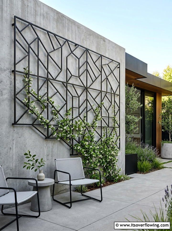 Modern metal wall trellis - 25 garden ideas with trellis
