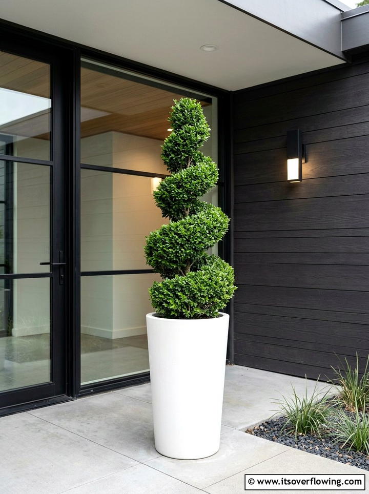 Modern minimalist topiary - 25 front porch ideas with topiaries