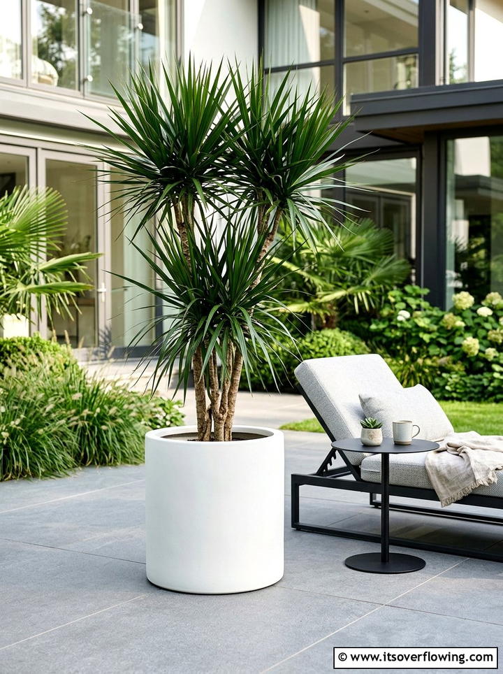 Modern patio container - 25 small garden ideas with low maintenance plants