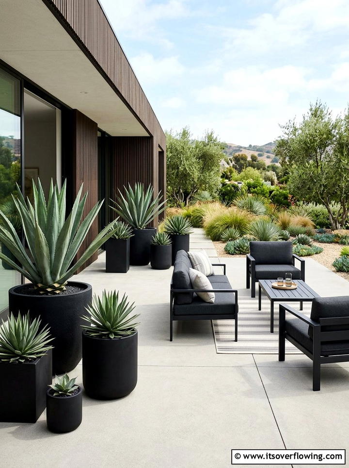 Modern patio with potted agave - 25 cheap garden ideas with low maintenance plants