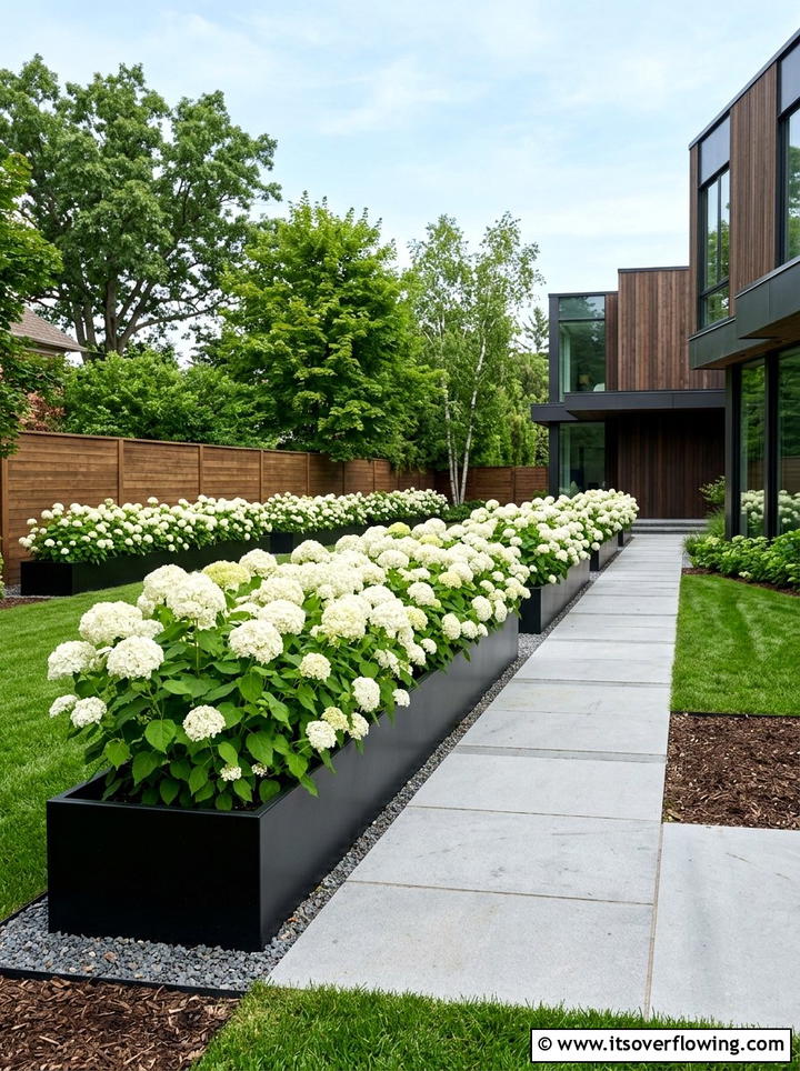 Modern white hydrangea garden - 25 garden ideas with hydrangeas