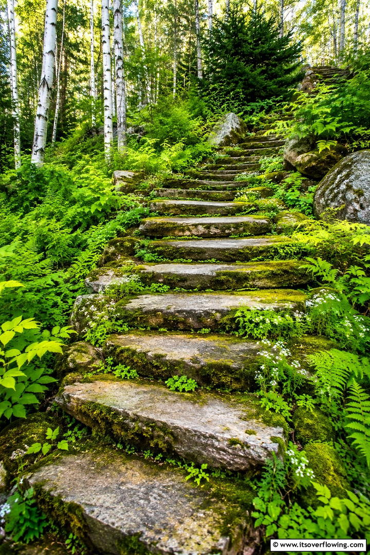 Mossy Stone Steps - 30 Stone Garden Ideas for Natural Outdoor Landscaping Designs