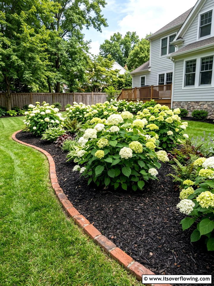 Mulched Shrub Bed - 25 backyard ideas with low maintenance plants