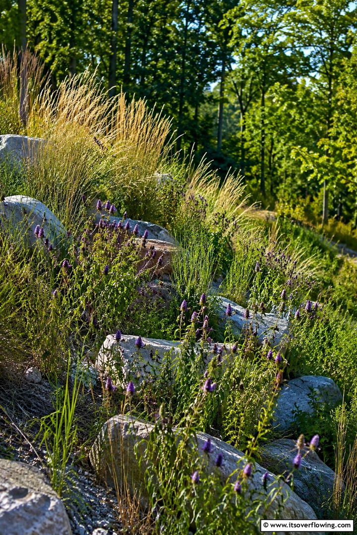 Naturalized Native Slope Landscape - 30 Sloped Garden Ideas to Transform Challenging Yards