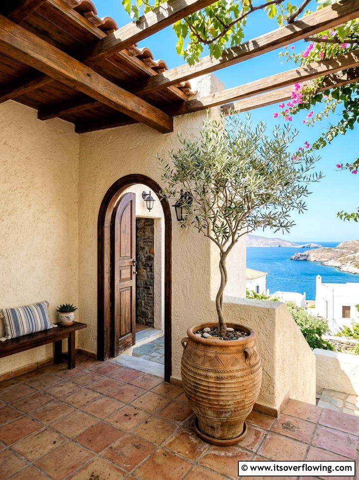 Olive Tree In Terracotta Pot - 25 front porch ideas with low maintenance plants