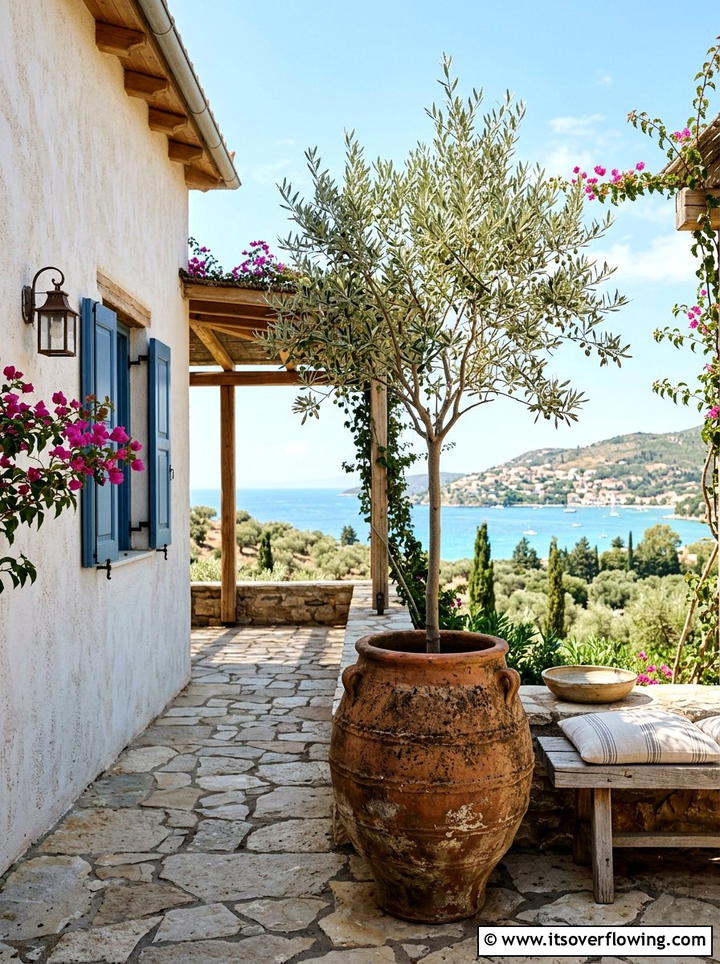 Olive Tree In Terracotta - 25 front porch ideas with real plants