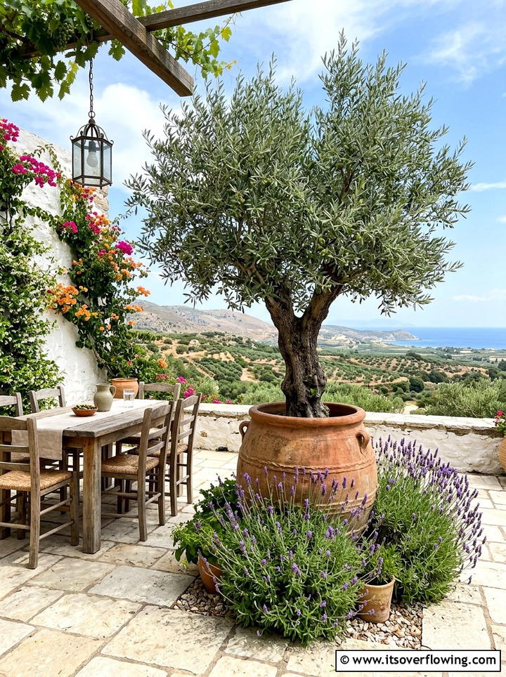 Olive Tree Patio - 25 backyard decorating ideas with potted trees