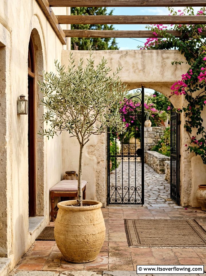 Olive tree planter - 25 front porch decor ideas with planters