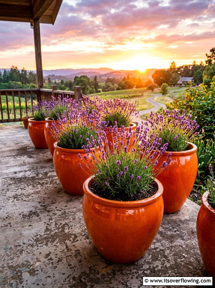 Orange Flower Pots - 25 front porch decor ideas with bright colors
