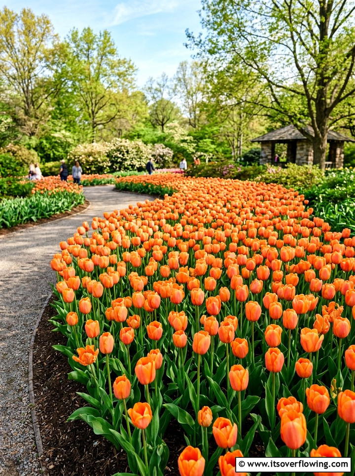 Orange Tulip Garden Display - 25 garden design ideas with monochrome plants