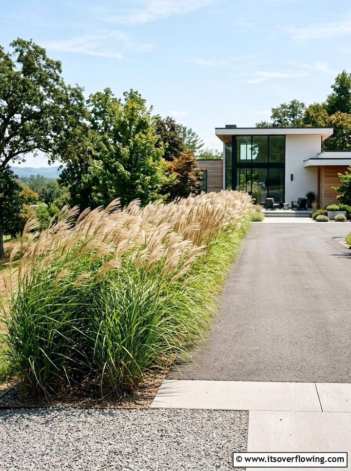 Ornamental Grass Borders - 25 creative garden ideas with modern landscape lines