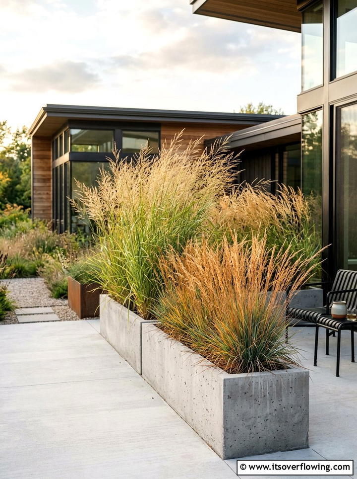 Ornamental Grass Landscape - 25 garden ideas with native plants