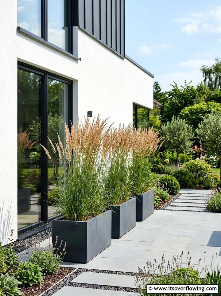 Ornamental Grasses In Modern Planters - 25 front porch ideas with drought tolerant plants