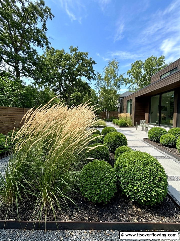 Ornamental Grasses With Sharp Boxwood - 25 garden design ideas with bold contrast