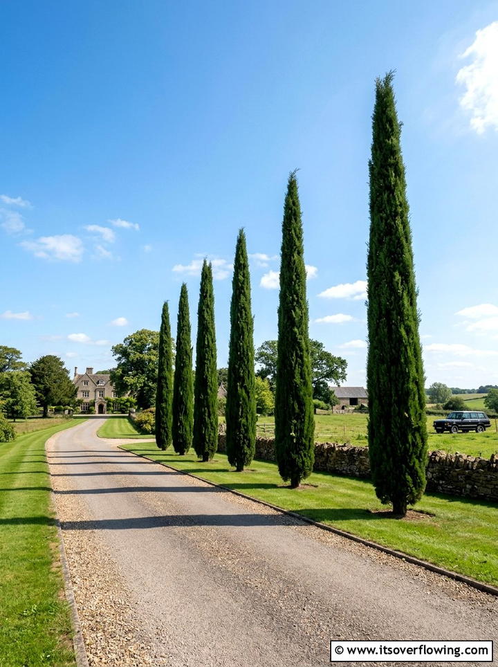 Ornamental Tree Line - 25 garden design ideas with repetition
