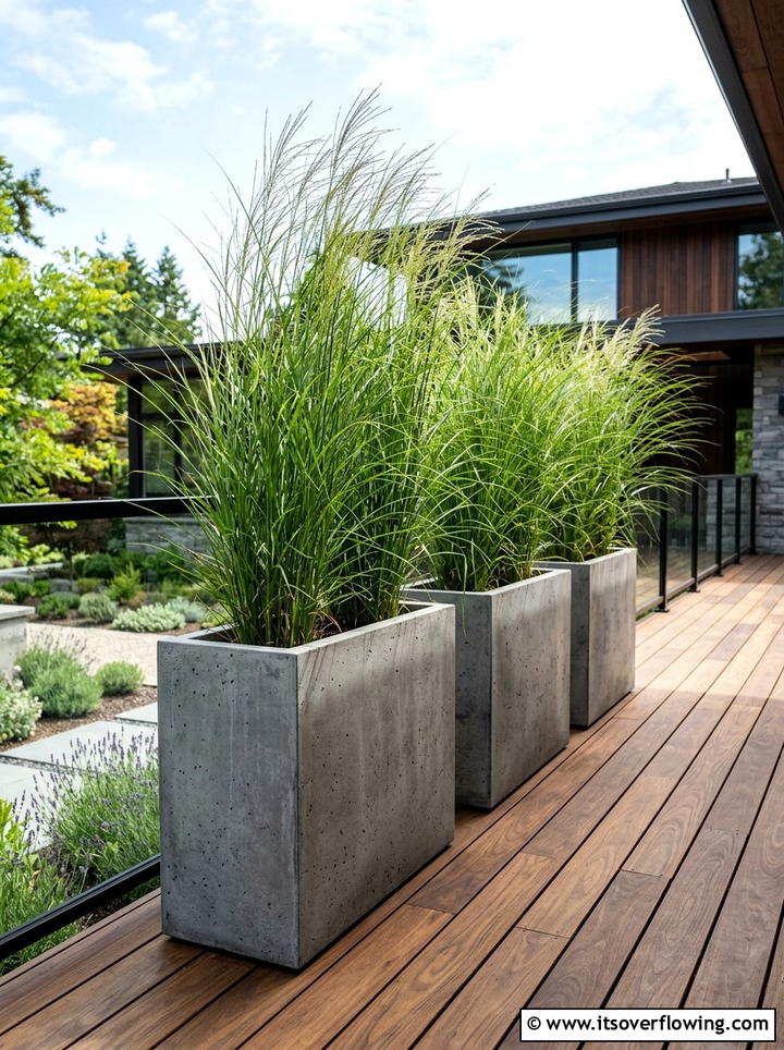 Oversized planter boxes - 25 backyard ideas with privacy screens
