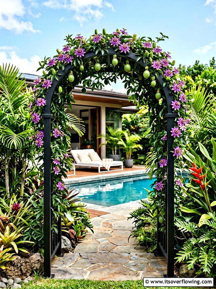 Passionflower Garden Arch - 25 creative garden ideas with trellis tunnel